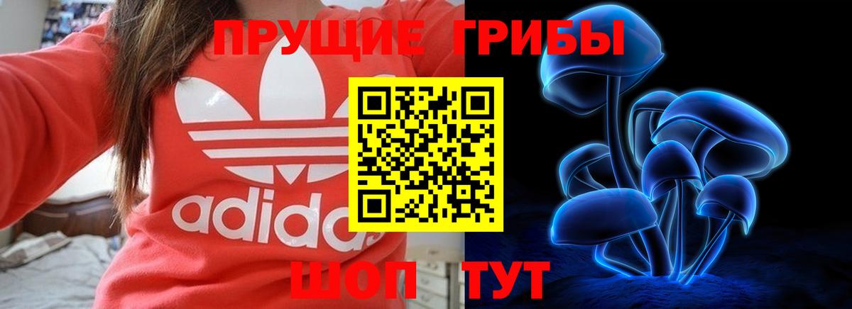 Псилоцибиновые грибы GOLDEN TEACHER  Вход с VPN  Ангарск  Псилоцибиновые грибы мухоморы 